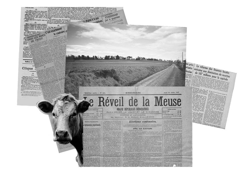 collage-rural
